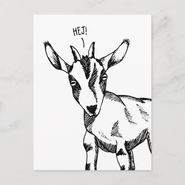 Goat Sketch saying "Hej!" Postcard (Front)