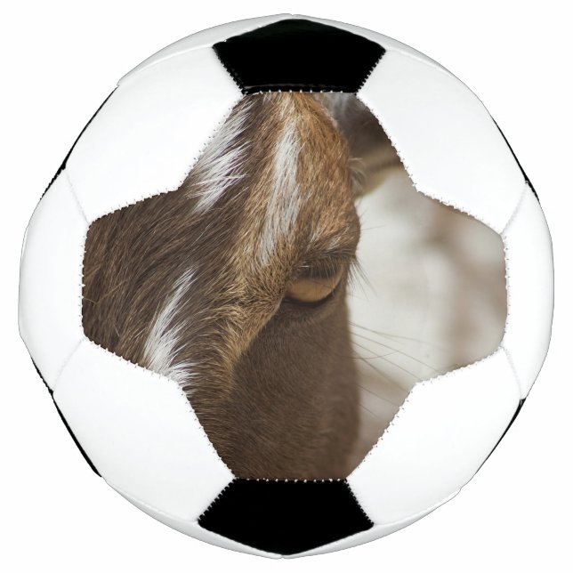 Goat Soccer Ball (Front)