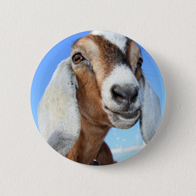 Goat star 1.jpg 6 cm round badge (Front)