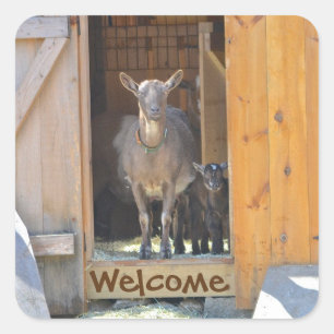 Goat Sticker