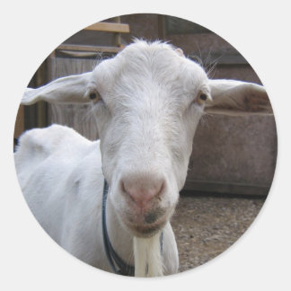Goat sticker