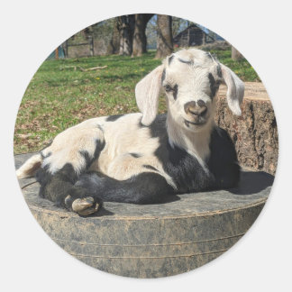 Goat Stickers set of 6