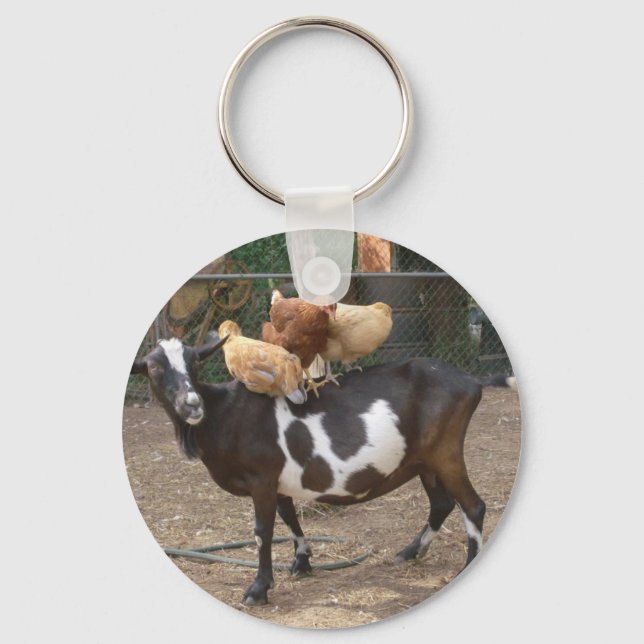 Goat taxi key ring (Front)