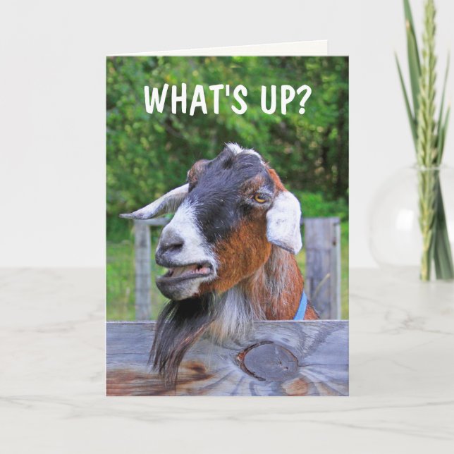Goat Thinking Of You Card (Front)