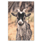 Goat Vintage Country Farm Animal Decoupage