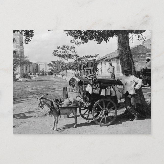 Goat Wagon Peddler, Cuba: 1920 Postcard (Front)