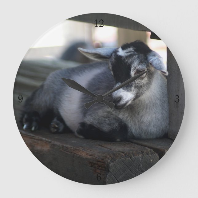 Goat Wall Clock (Front)