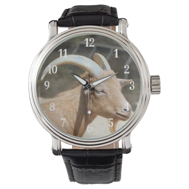 Goat Watch (Front)