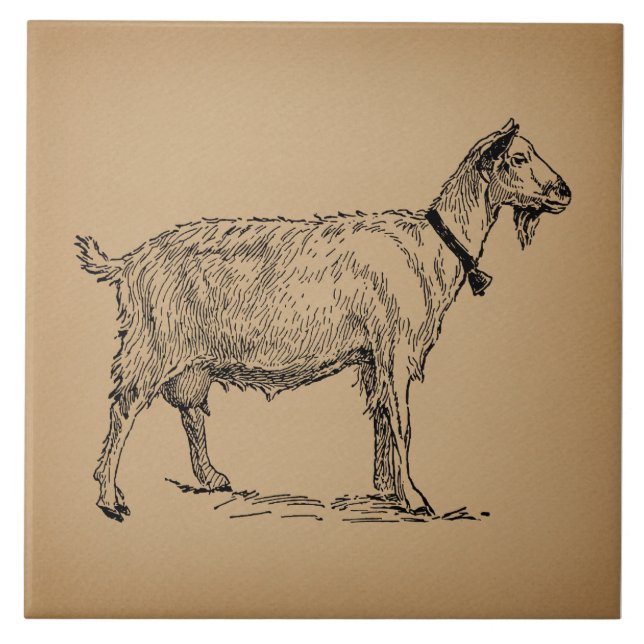 Goat with Bell Illustration Antique Aged Brown Ceramic Tile (Front)