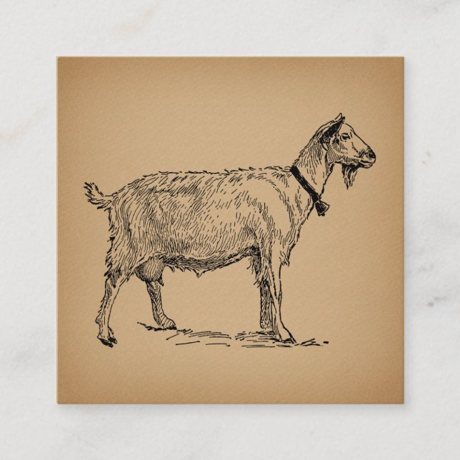 Goat with Bell Illustration Antique Aged Brown Enclosure Card (Front)