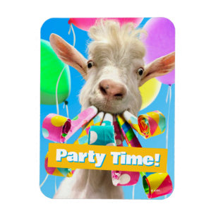 Goat with Party Blowers Magnet