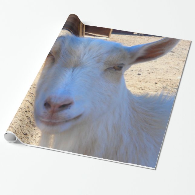 Goat Wrapping Paper (Unrolled)