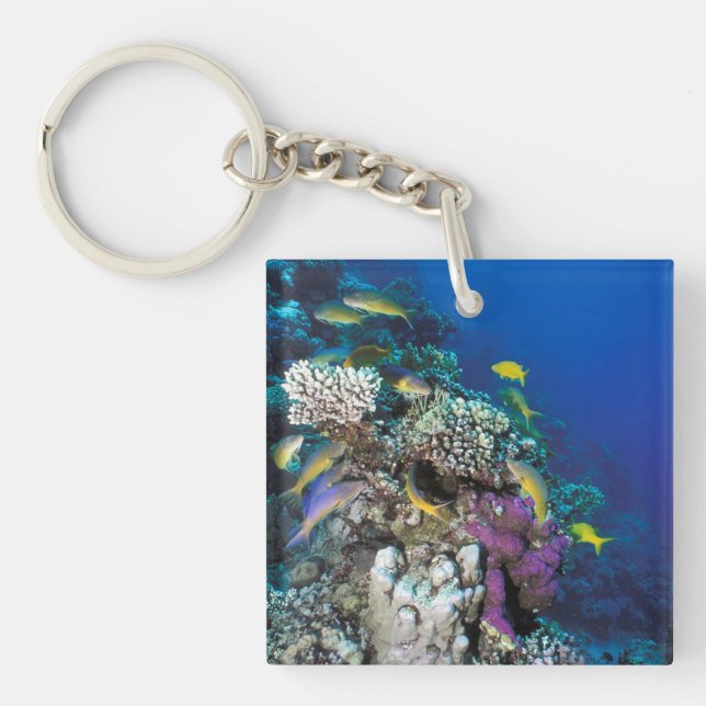 Goatfish Swarm Around Small Coral Key Ring (Front)