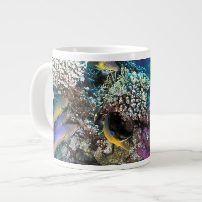 Goatfish Swarm Around Small Coral Large Coffee Mug (Front Left)