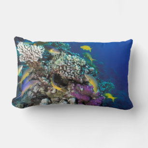 Goatfish Swarm Around Small Coral Lumbar Cushion