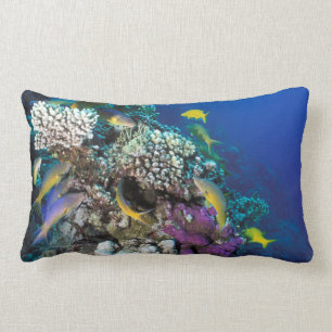 Goatfish Swarm Around Small Coral Lumbar Cushion