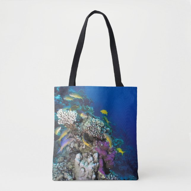 Goatfish Swarm Around Small Coral Tote Bag (Front)