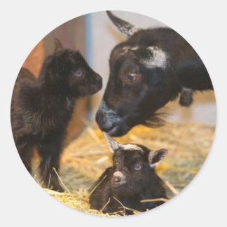 Goaties Classic Round Sticker