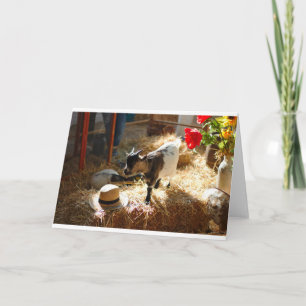 Goats and Goats and Goats (29) Card