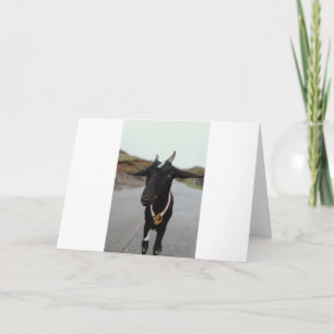 Goats and Goats and Goats (35) Card
