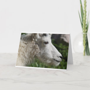 Goats and Goats and Goats (44) Card