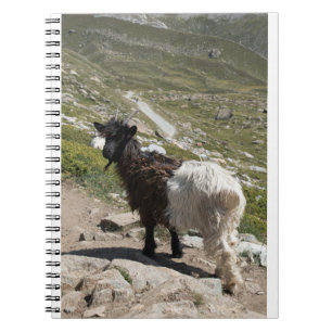 Goats and Goats and Goats (63) Notebook