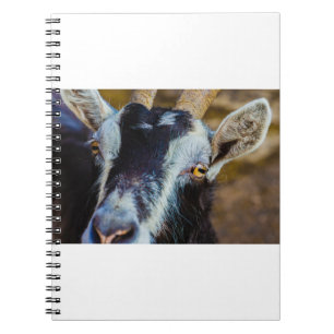 Goats and Goats and Goats (67) Notebook