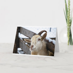 Goats and Goats and Goats (71) Card