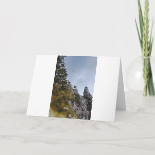 Goats and Goats and Goats (76) Card