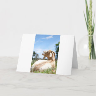 Goats and Goats and Goats (83) Card
