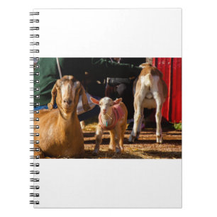 Goats and Goats and Goats (91) Notebook