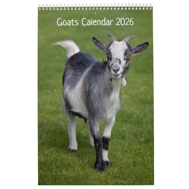 Goats Calendar (Cover)