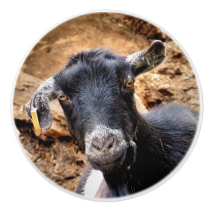 GOATS CERAMIC KNOB