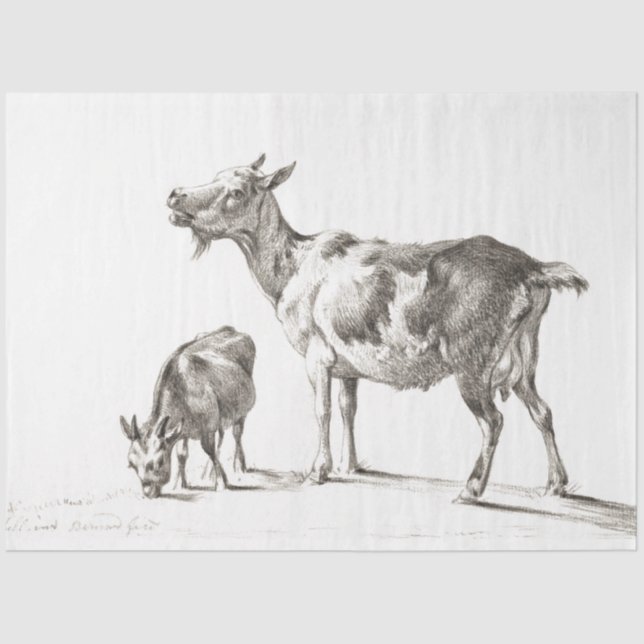 Goats Ephemera Decoupage Vintage Farm Tissue Paper (Front)