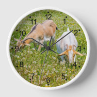 Goats Farm Animals Round White