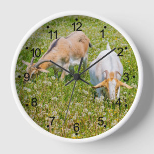 Goats Farm Animals Round White Clock