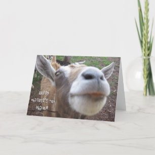 Goat's Happy Mother's Day Card