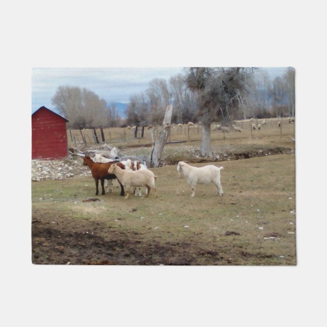 Goats in Red Hut Pasture Doormat (Front)