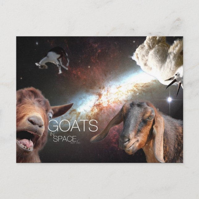 Goats.In.Space Postcard (Front)