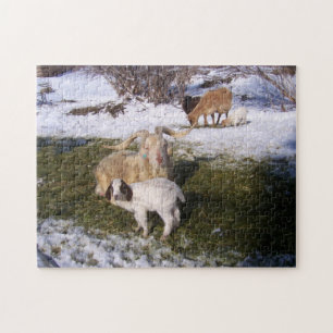 Goats in Spring Snow Jigsaw Puzzle
