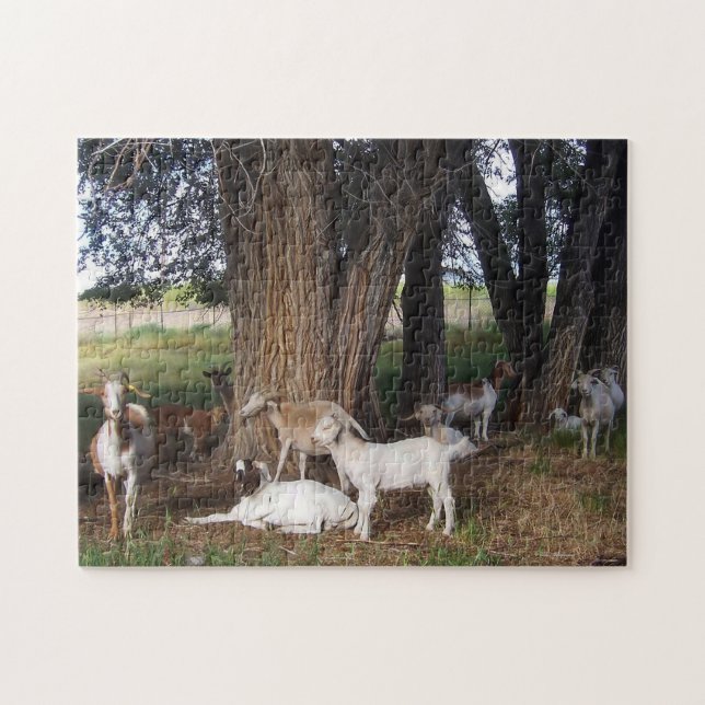 Goats in the Yard Jigsaw Puzzle (Horizontal)