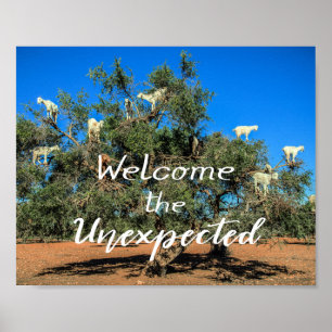 Goats in Trees Welcome the Unexpected Poster