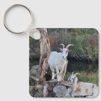 Goats Key Ring
