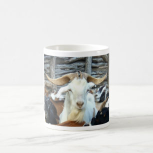 goats mug