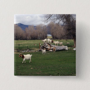 Goats On a Log 15 Cm Square Badge