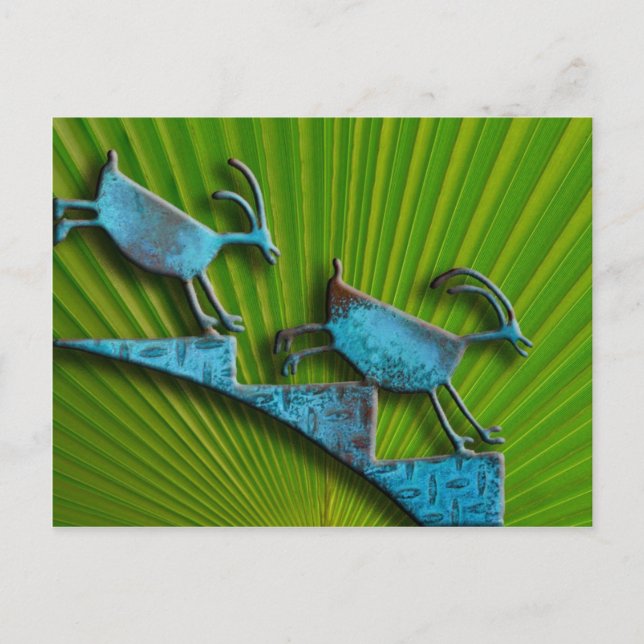 Goats on Cactus Postcard (Front)