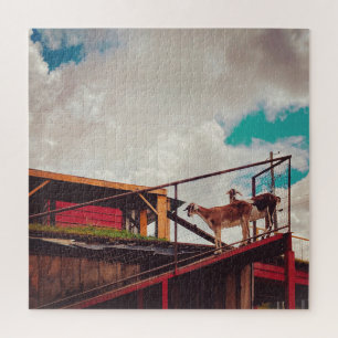 goats on the roof jigsaw puzzle