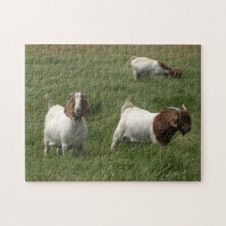 Goats Puzzle