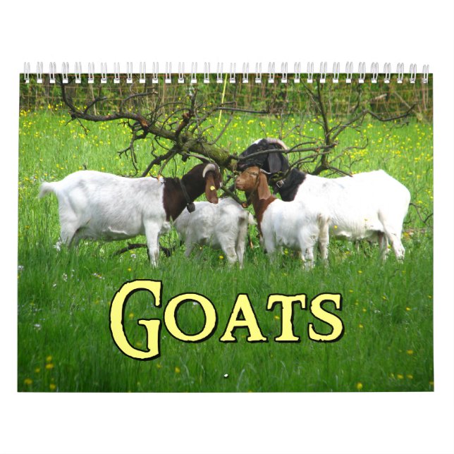 Goats Wall Calendar (Cover)