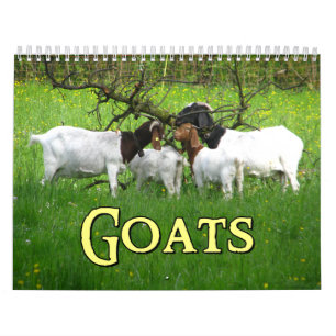 Goats Wall Calendar